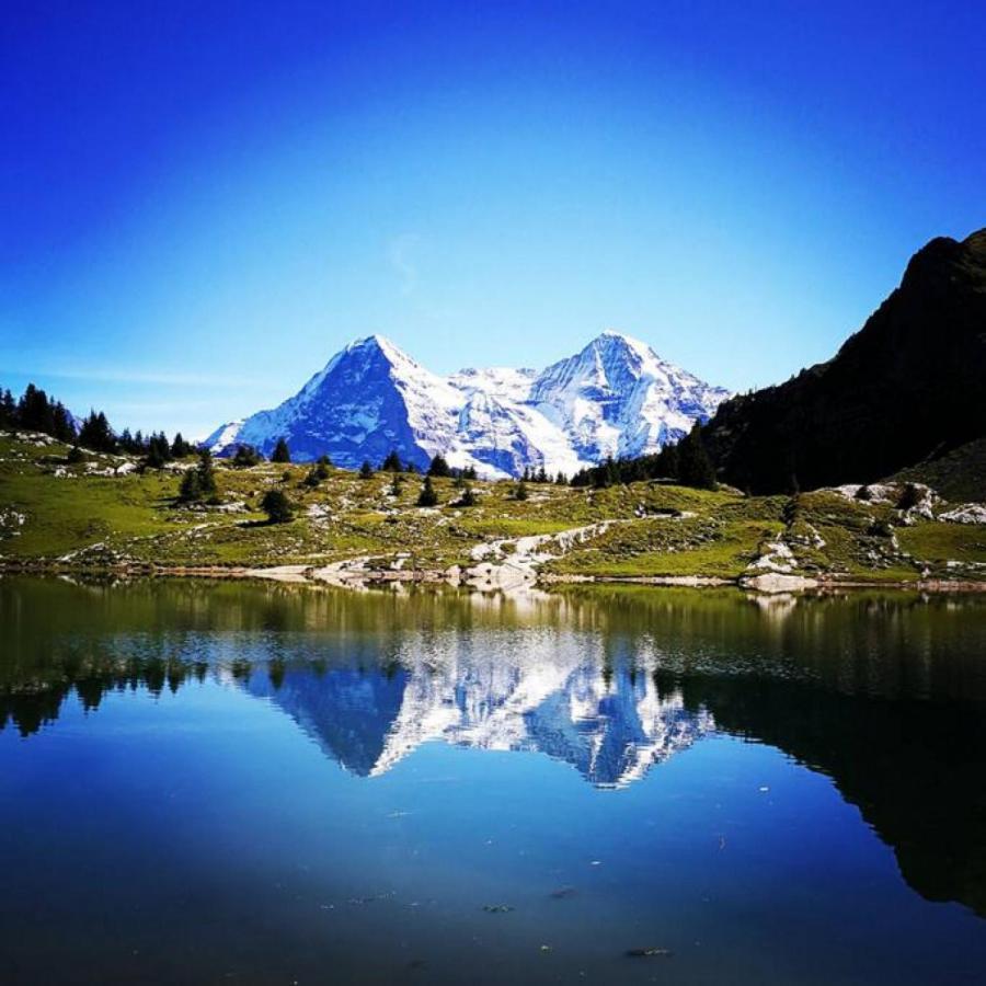 Swisshut Stunning Views Alps Lake - Chalet Erli Darligen Екстер'єр фото