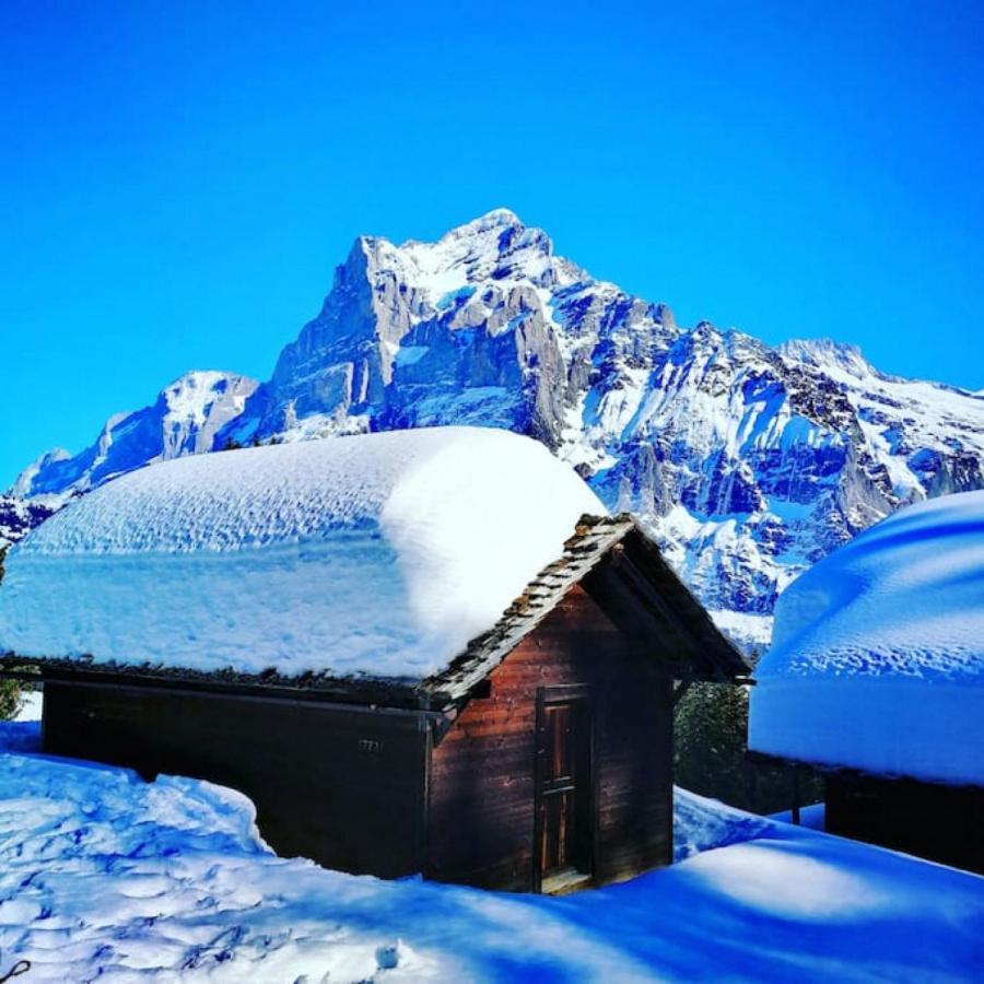 Swisshut Stunning Views Alps Lake - Chalet Erli Darligen Екстер'єр фото