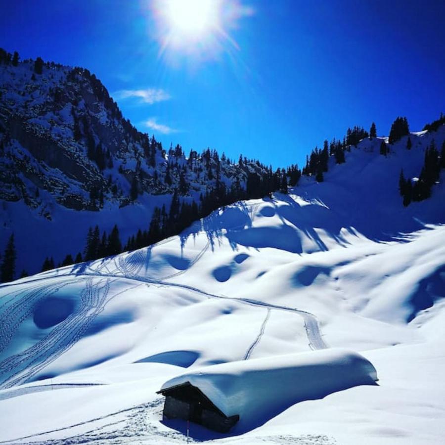 Swisshut Stunning Views Alps Lake - Chalet Erli Darligen Екстер'єр фото
